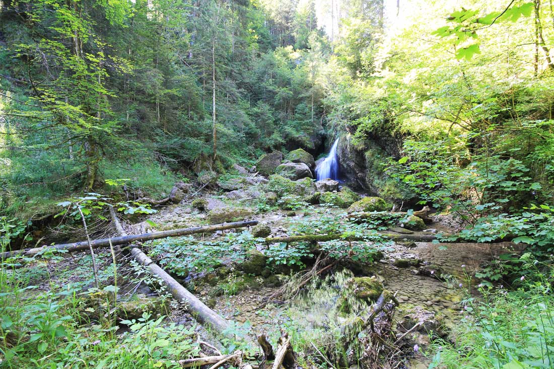 Wasserfall Steigbach