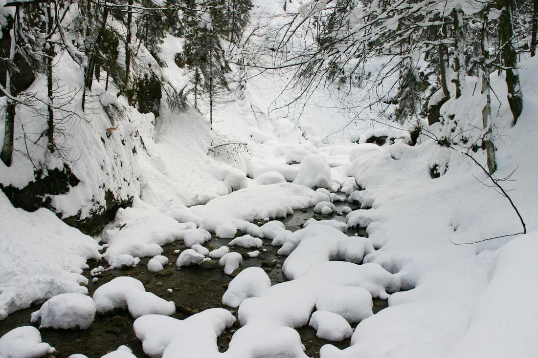 Steigbachtal Winter